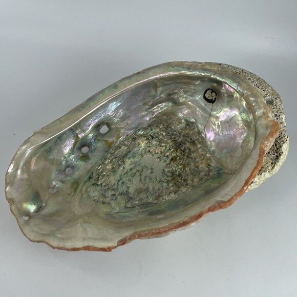 Large 8”x 6” Vintage Estate Red Abalone Shell 1lb 1oz Old Trinket Dish Display - Picture 2 of 12